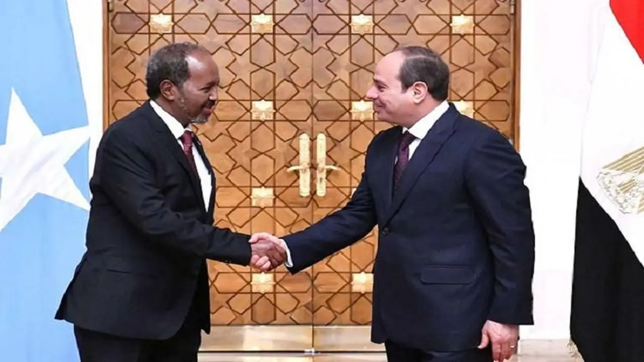 د. صلاح حليمة: تطور ملحوظ في علاقات مصر والصومال بكافة المجالات التنموية